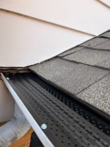 Gutter cleaning services
