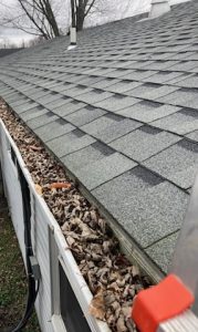 Gutter cleaning services