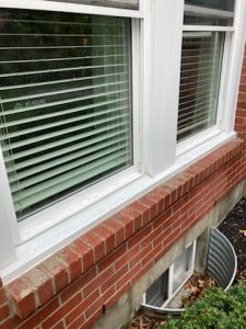 Window cleaning services