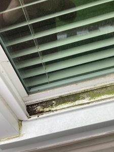 Window cleaning services