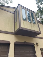 Window and siding cleaning services