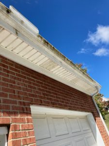 Gutter cleaning services