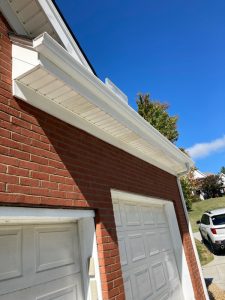 Gutter cleaning services