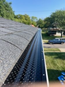 Gutter cleaning services