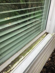 Window cleaning services