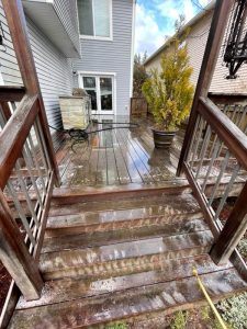 Deck cleaning and restoration services